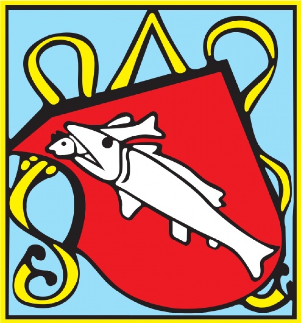 Město Dolní Benešov Fontána, příspěvková organizace, Celní 3, Hlučín