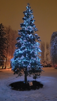 Vánoční strom