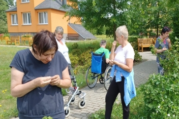 PĚSTOVÁNÍ OVOCE NA ZAHRADĚ