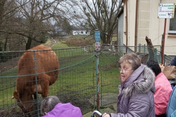 Výlet na kozí farmu